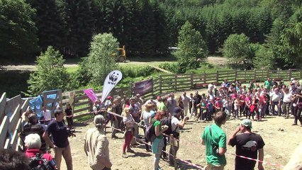 Release of 18 European bison in the Romanian Carpathians