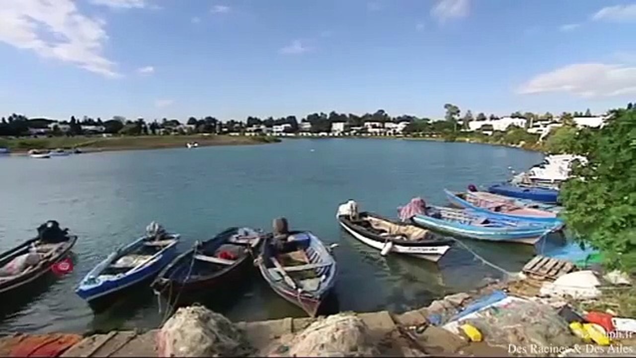 Tunisie Carthage(reconstitution 3D) période phenicienne , Punique et Romaine Antique