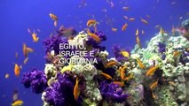 Il Mar Rosso firmato Costa. Egitto, Giordania e Israele in 7 giorni