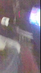 BROMA 28 DE DICIEMBRE MI HERMANO EMBARAZÓ A SU NOVIA.