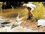 A Tribute To Steve Irwin - The Crocodile Hunter