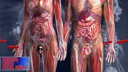 Nicki Minaj ft Lil Wayne - _High School Herpes