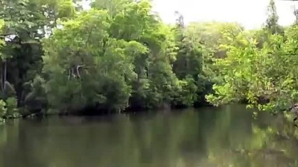 Galley Reach Port Moresby PNG Bass fishing