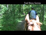 Trail Riding and Horse Fun IN Brown County Horse Camp