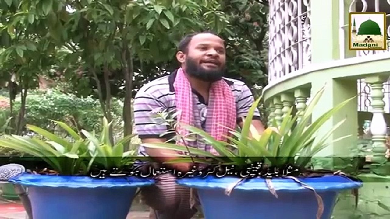 Sunnah System for Nails cutting/ নখ কাটার সুন্নাত পদ্ধতি