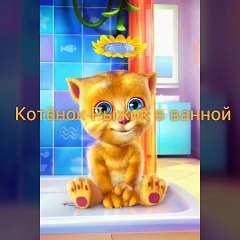 Прикол Смешной кот