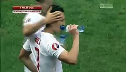 Milik Goal Poland 1-0 Georgia 13.06.2015