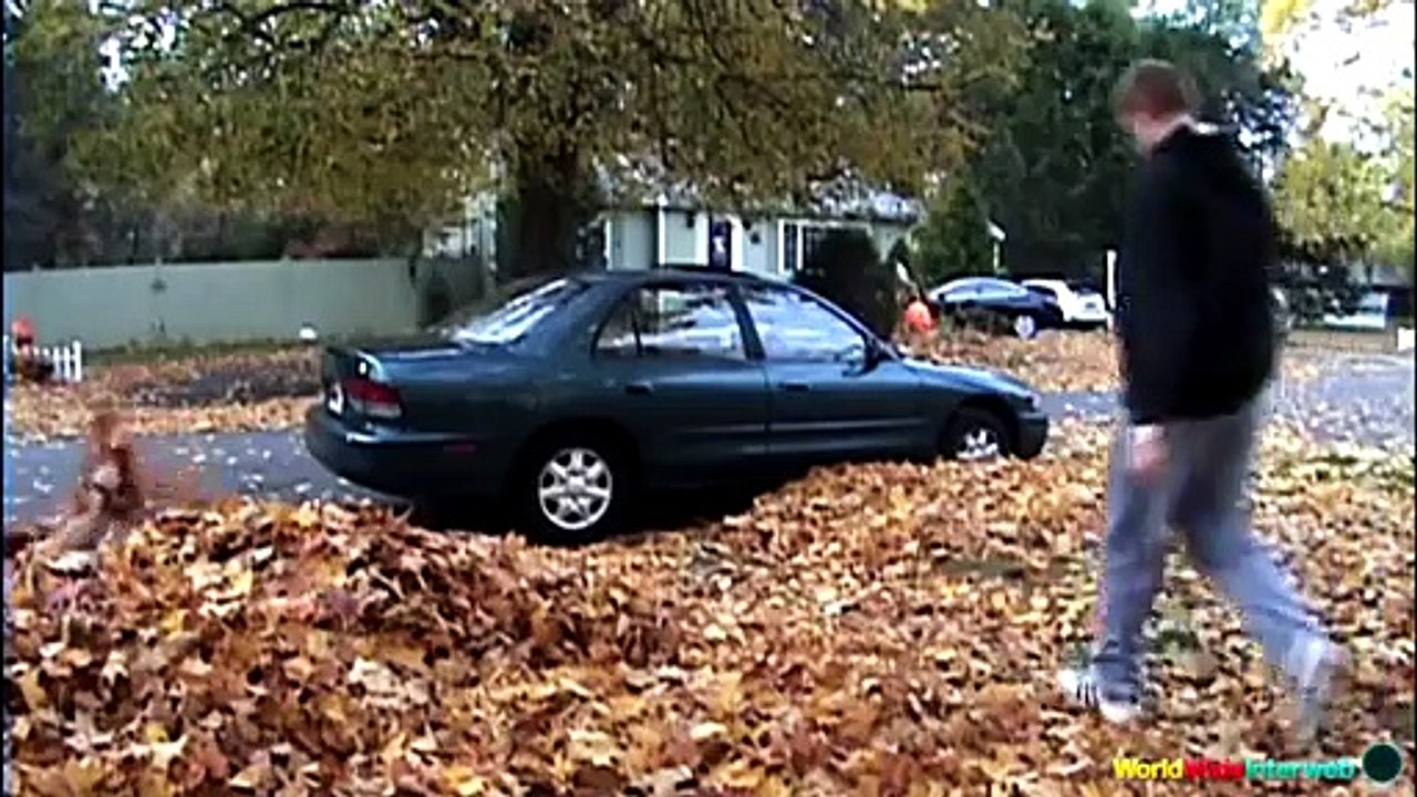 The Ultimate Exercise Ball Fails Compilation