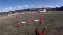 GoPro Day: Jumping Without Stirrups
