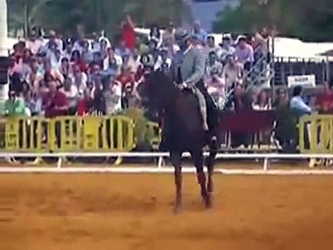 Final de Doma Vaquera: Gonzalo Corrales Lotocan
