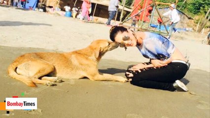 Sunny Leone Takes Care of an Injured Stray Dog-Fp_vsBXnE5o