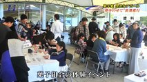 和菓子で祝う新幹線の開業