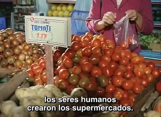 Ilha das Flores (1989) Subtitulado