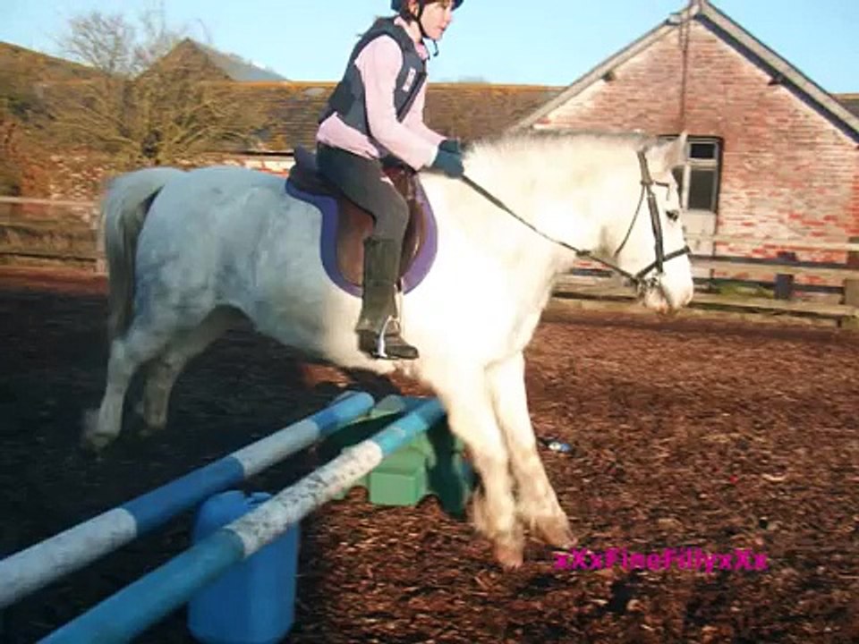 a horse you've been framed!