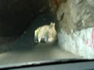 bejaia corniche 2005