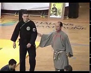 Maestrul Pham Xuan Tong