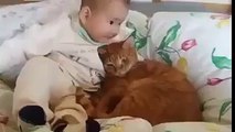 cat and baby love?syndication=228326