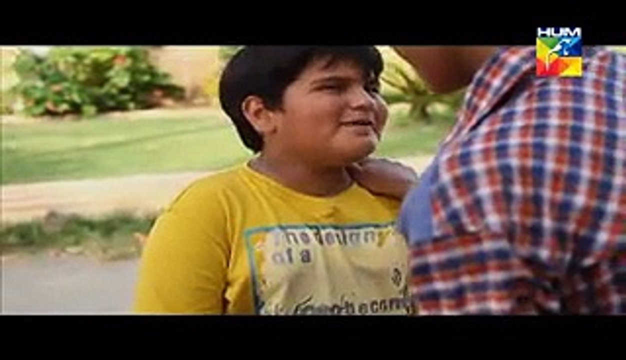 Mr Shamim Episode 22 on Hum Tv - 13th June 2015