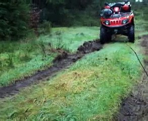 Ein Tag im Schwarzwald