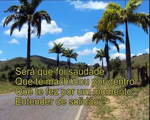 Será Que Foi Saudade - Zezé di Camargo $ Luciano.wmv