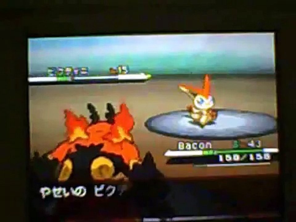 Pokémon Black and White - Victini, the Legendary Pokémon!