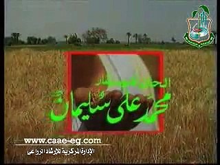 سر الارض حلقة الزراعة فوق اسطح المنازل