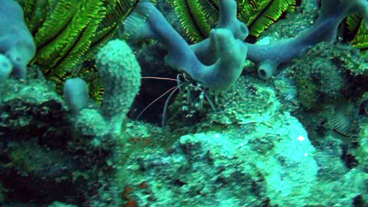 Bienvenue dans mon monde 5