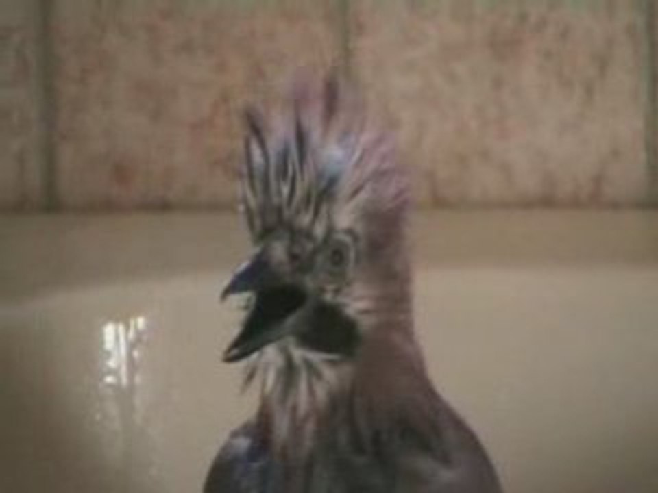 Bain-GG-