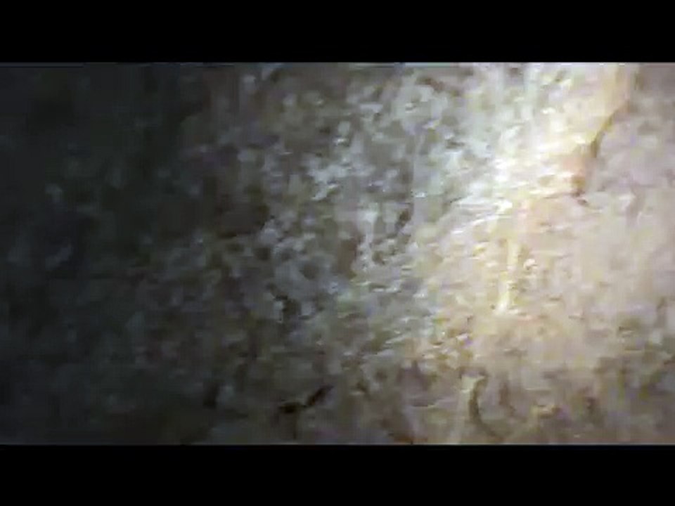 Exploring an Abandoned Mine in San Diego County (The Last Chance Mine)