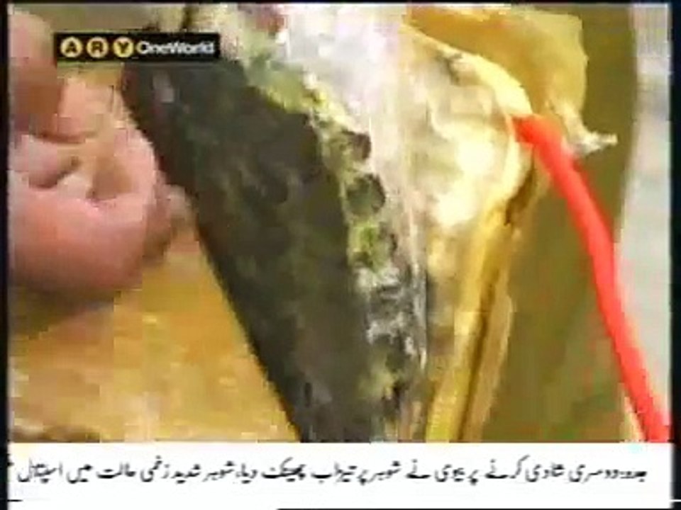 Dera Ismail Khan Pathan Terrorist suicide bomber arrested