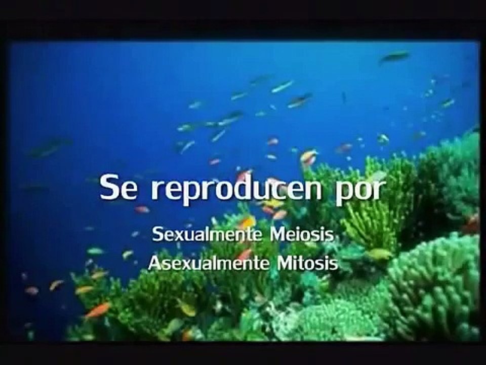 los cinco reinos de la biología