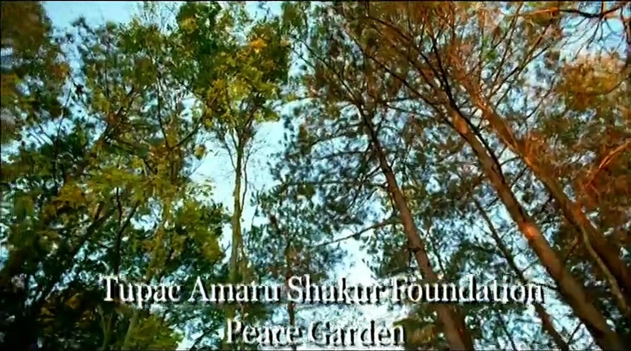 2Pac - Pac's Life ft. T.I., Ashanti