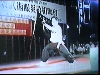 Tiger and Crane form