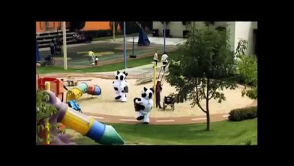 Leche | alpura | Teletón 2011 Internet