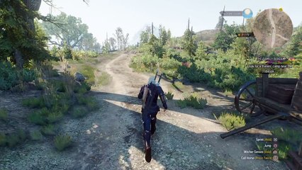 The Witcher 3 cutting down thieves