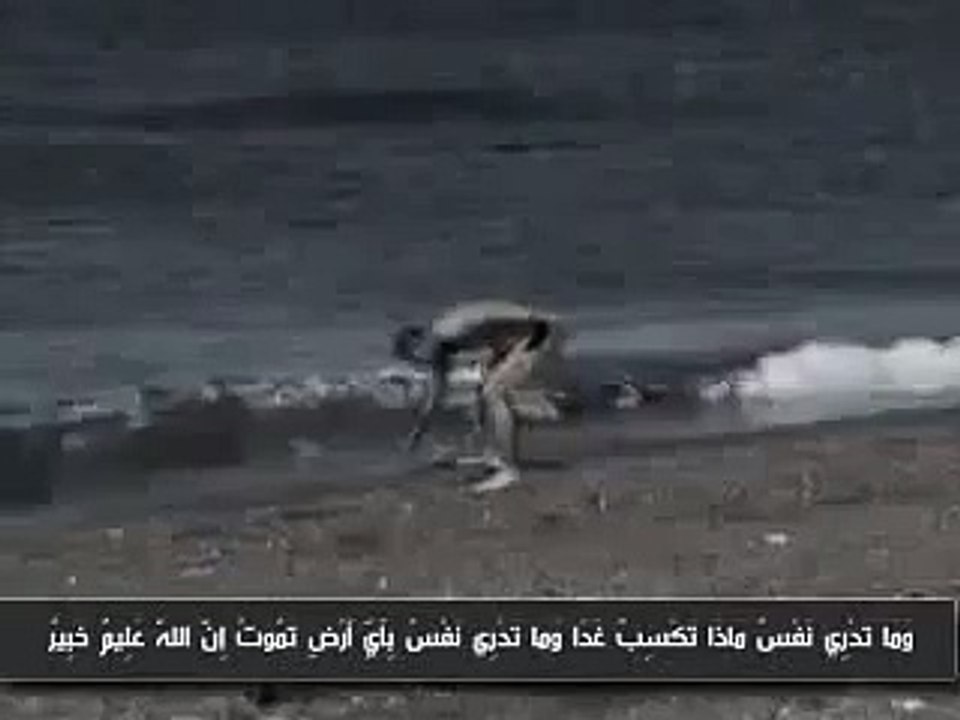 ولد كان يلوح لأهله قبل يسبح بالبحر ولكن  اكله الحوت