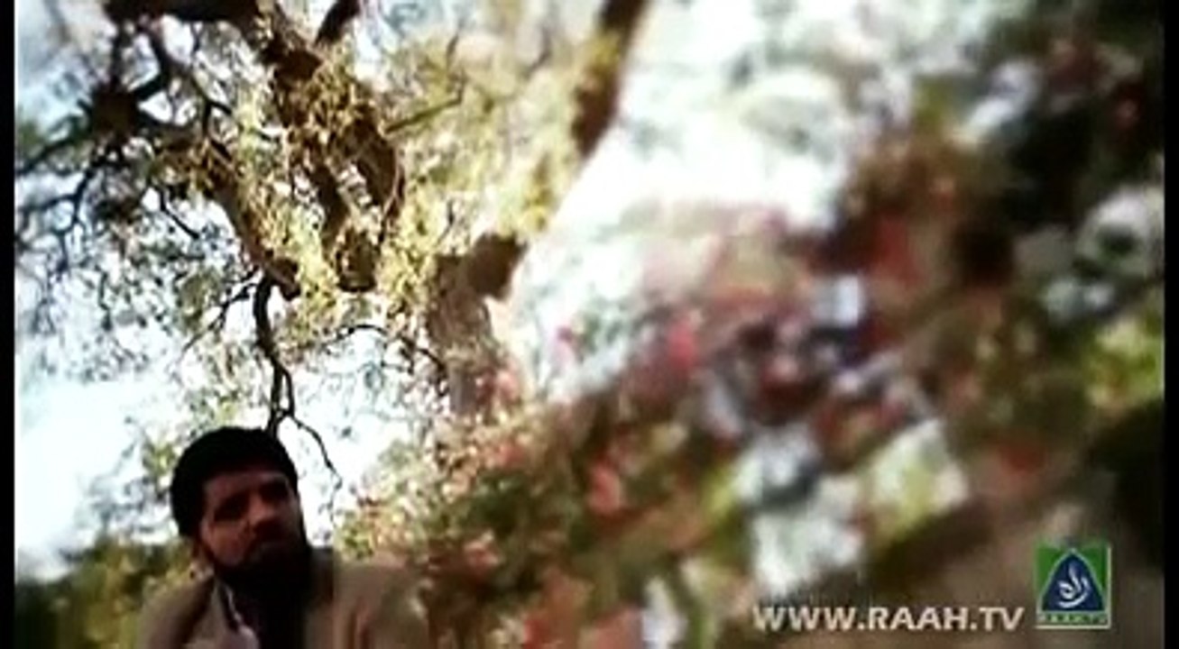 میں اپنے نبی کے کوچے میں چلتا ہی گیا چلتا ہی گیا ...دل کو چھو لینے والی نعت ضرور سنیں ...