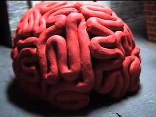 The Infestation of the Nutty Joes