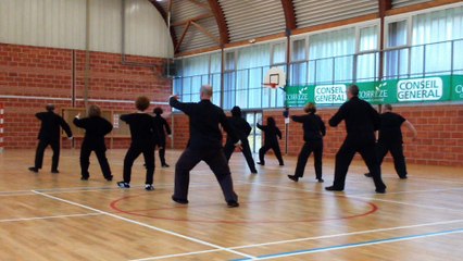 forme tai chi yang