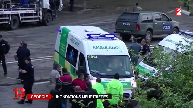 Inondations en Géorgie : des animaux sauvages dans les rues de la capitale