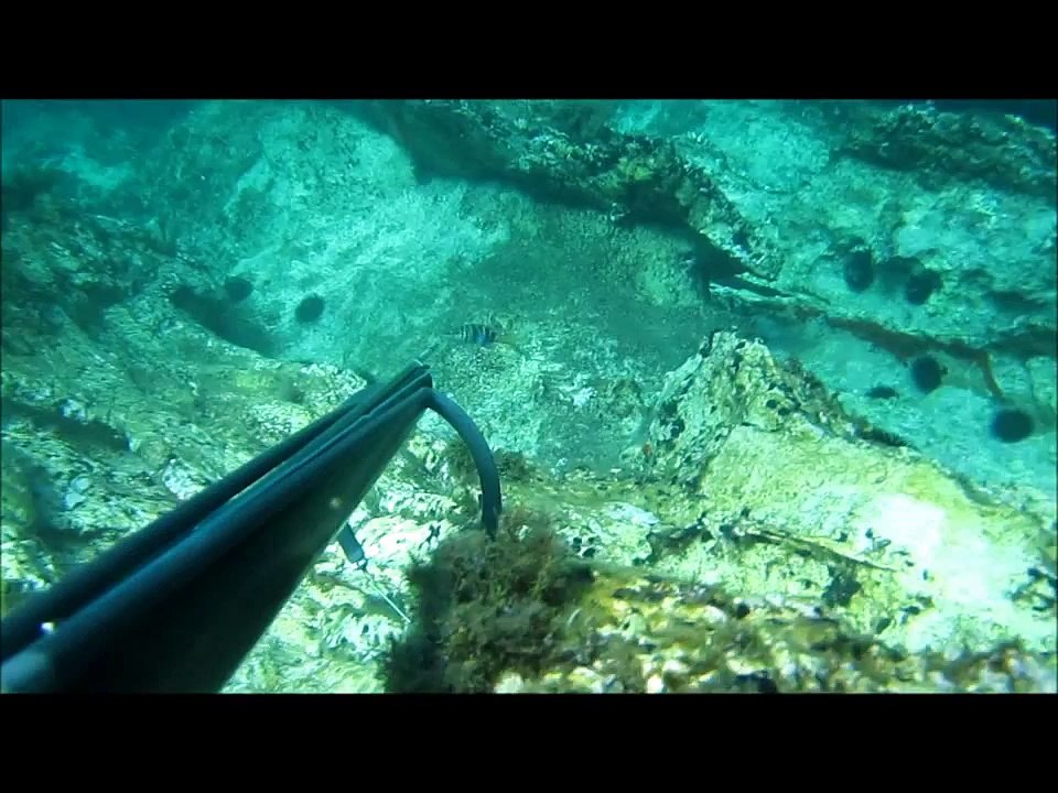 Ροφός 16 κιλά ψαροτούφεκο