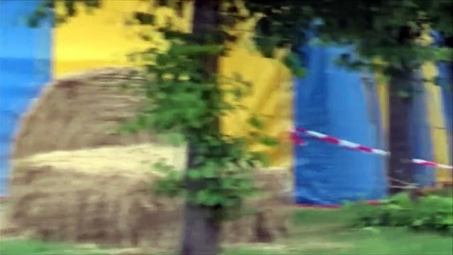 Un éléphant échappé d'un cirque blesse mortellement un Allemand