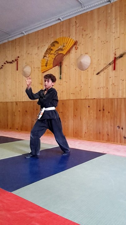 5 animaux - Ngu anh quyen