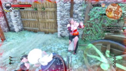 The Witcher 3 carnal sin