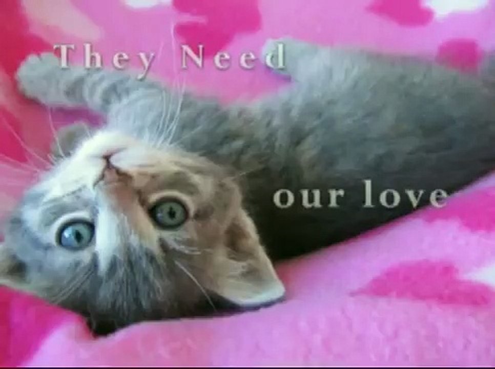 We're Here For Them