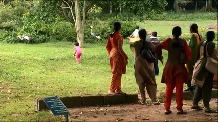 Agent-Based Modeling of Ugandan Agricultural Supply Chain