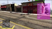 Grand Theft Auto : Online Trolling People With Mods