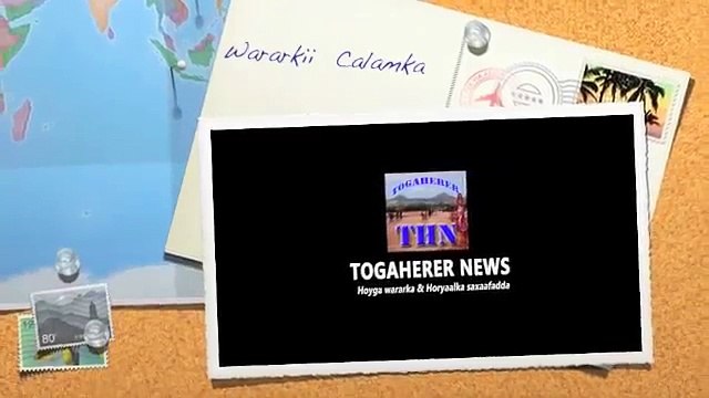 Garaad Jaamac Oo Hoos u riday Miisaankii Pro Cali Khaliif Lagu waajahilahaa