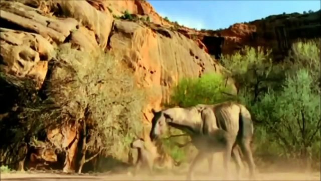 Dinosaurs vs Prehistoric Mammals