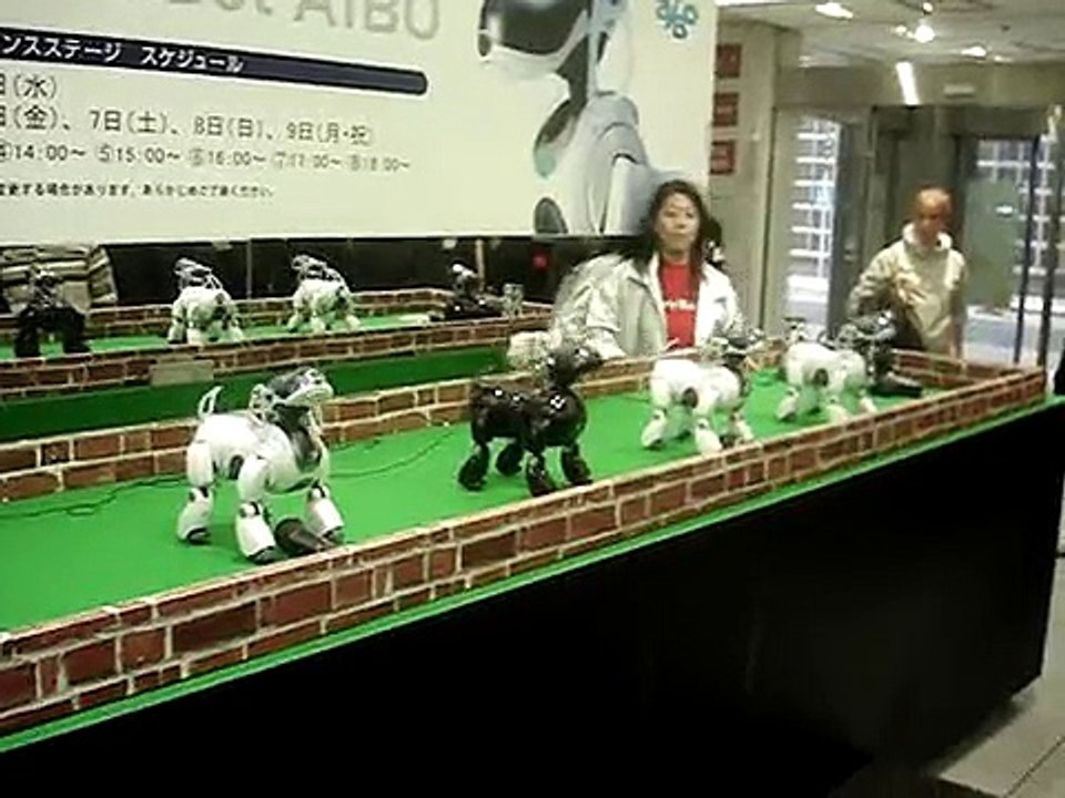 Sony AIBO Dog Dancing